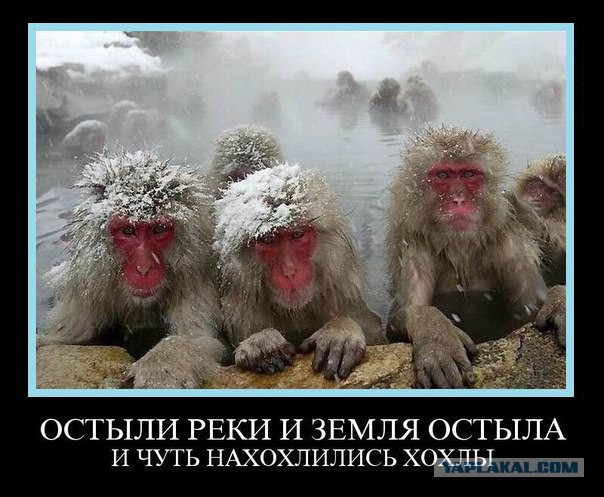 Новости украинской энергонезависимости