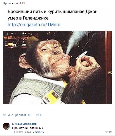 Ужасы и приколы из соцсетей 18+