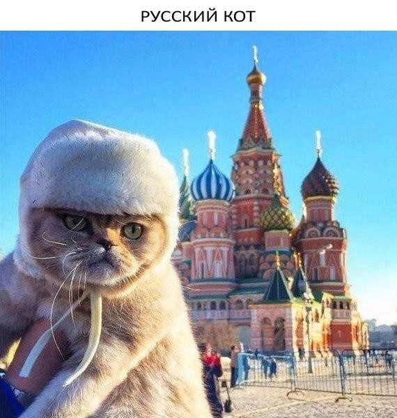 Разобрал дешевый планшет, а там...