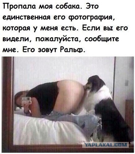 Юмор не для всех