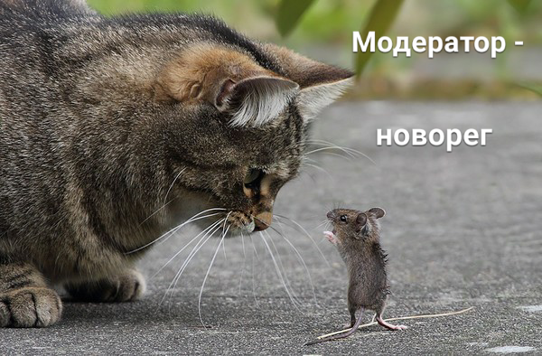 180 дней фор мистер Путин