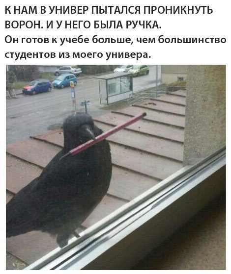 Просто юмор 13