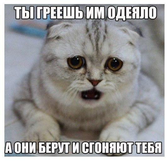 Картинки с надписями на разные темы - 2