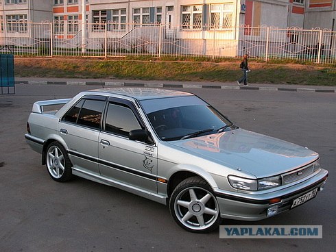Собака в машине