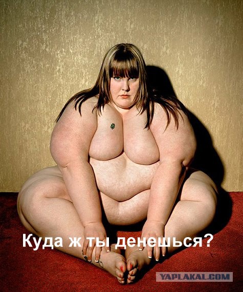 Полным барышням не в обиду:(