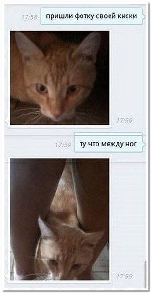 Ударная доза тупежа и деградации