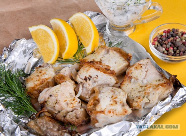 Почему сомы считаются аллигаторами российских рек