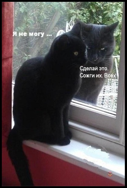 Просто картинки