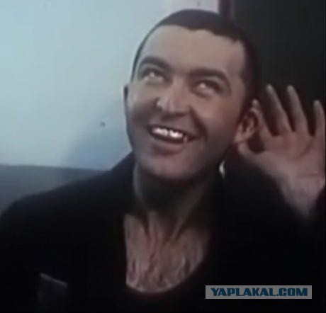 Ролик сумасшедшей, напавшей на офис Youtube