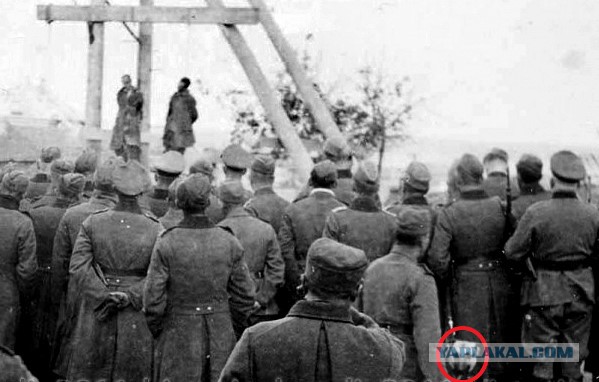 Горячее лето 41-го
