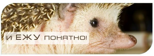 Ежу понятно рисунок