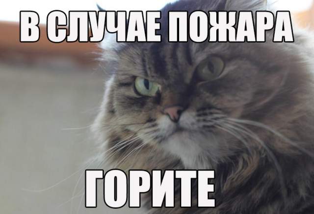 Картинки юморные и тексты