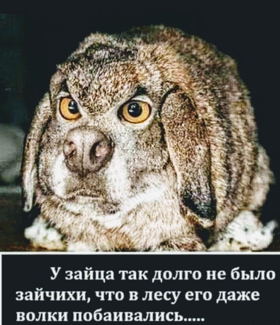 Немного картинок в этот понедельник