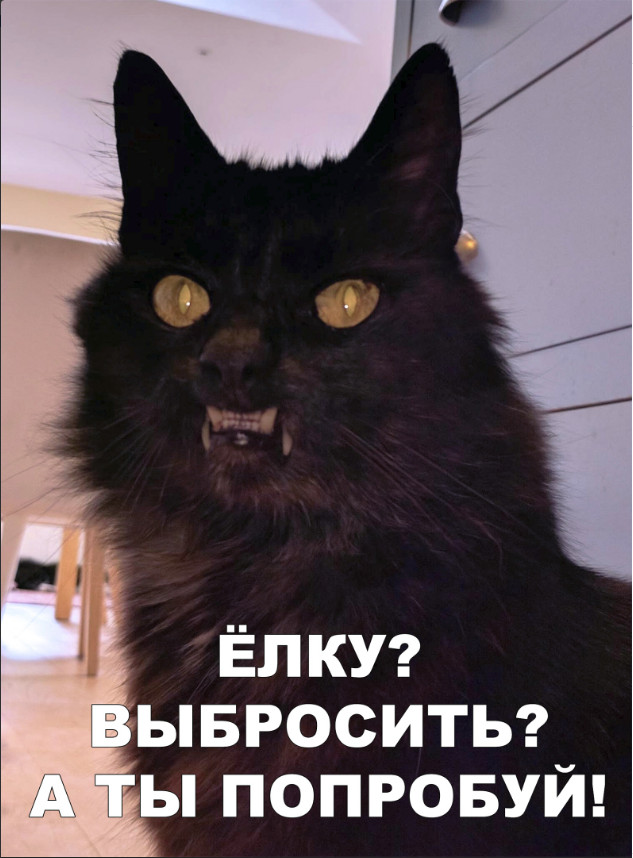 Нестандартный юмор