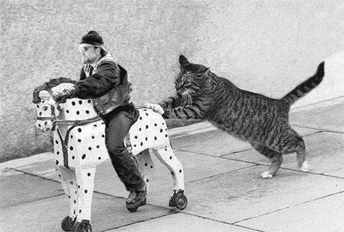 Фотографии КАТИСЬ КА ТЫ
