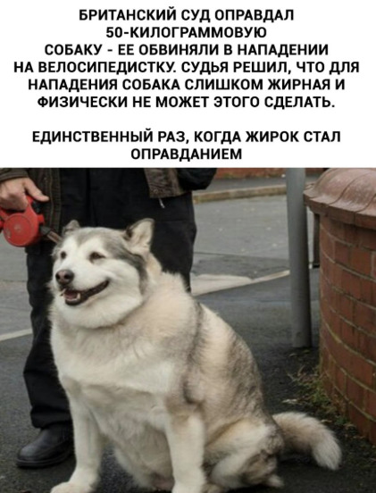 Немного картинок с надписями и без - 15