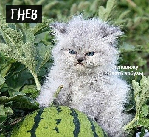 Семь смертных грехов