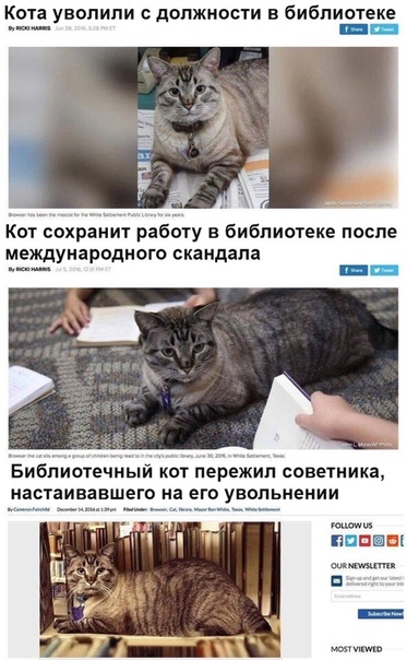 Немного картинок для настроения 19.10.19