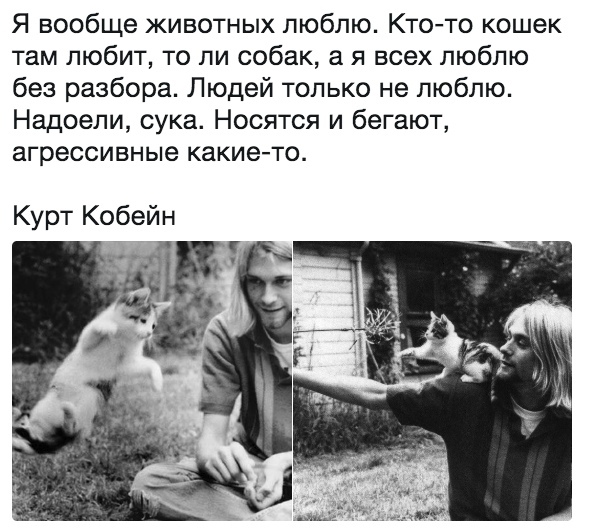 Бредзона