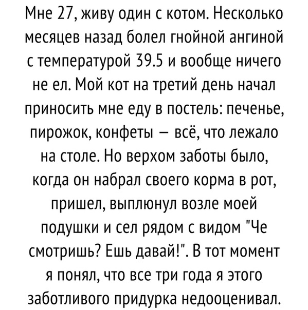 Чуток картинок 22.01.2020