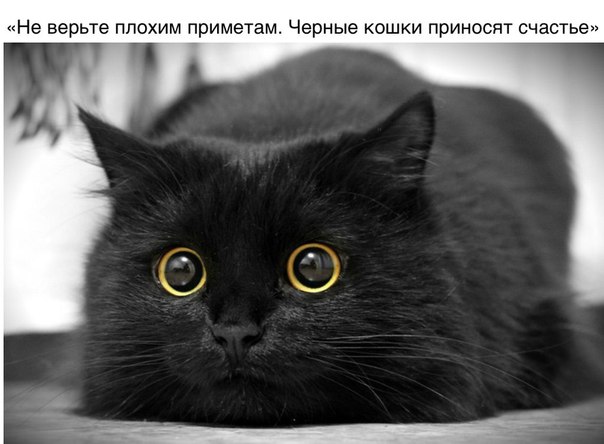 Немного картинок для настроения 04.02.20