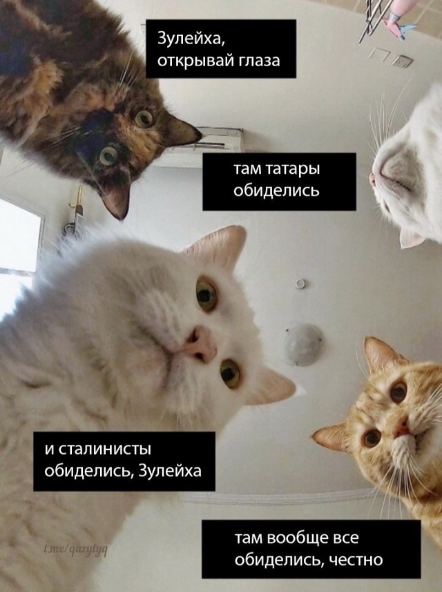 Доходчиво про антисоветский высер «Зулейха...»