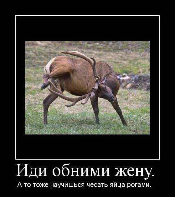 Женская измена