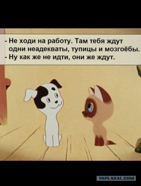 Немного картинок для настроения 88