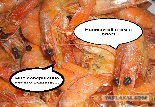 Фотожаба: Когда нечего сказать...