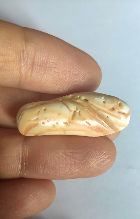 Кремнеземы Кузнецкой котловины
