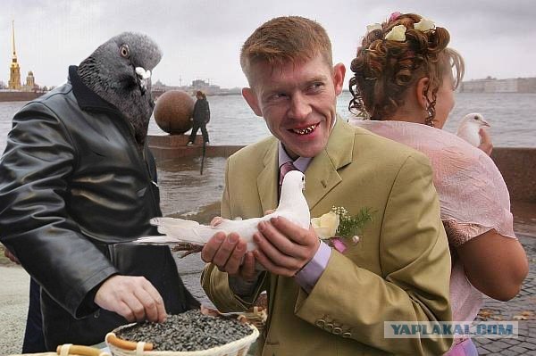 Свадебные "шидевры"
