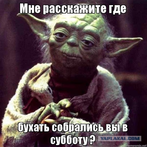 Алкопост 20.02.21