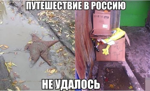 Картинки и мемы для настроения 017