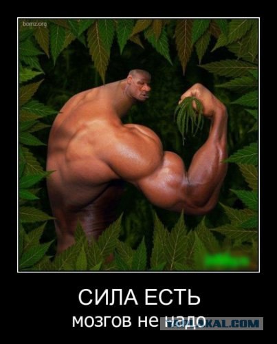 Ну что, попали под раздачу?