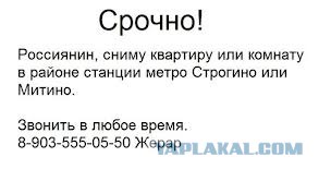 Французский пилот просит российское гражданство