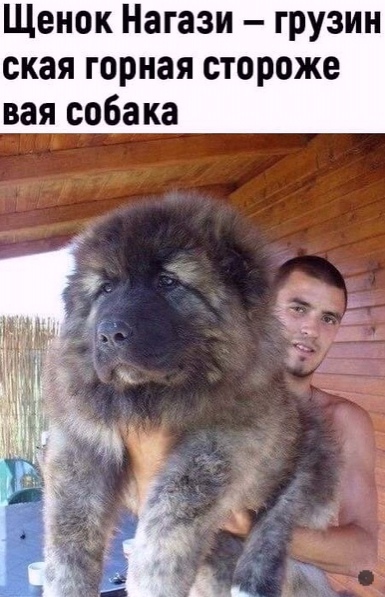 Картинки и мемы для настроения 04.08.2021