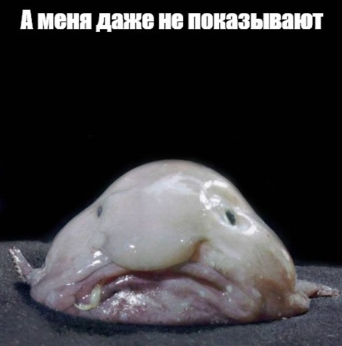 Вы меня достали своими рыбАми. Айда обратно к Наташе