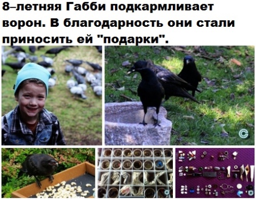 Так себе картинки 28.08.21