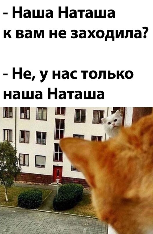 Прикольные и просто красивые картинки 10.11.2021