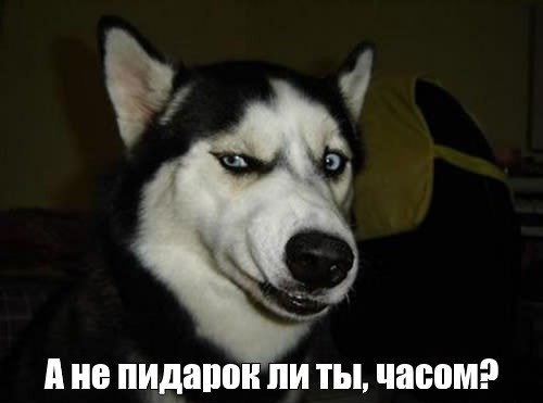 Мы тут белим, красим