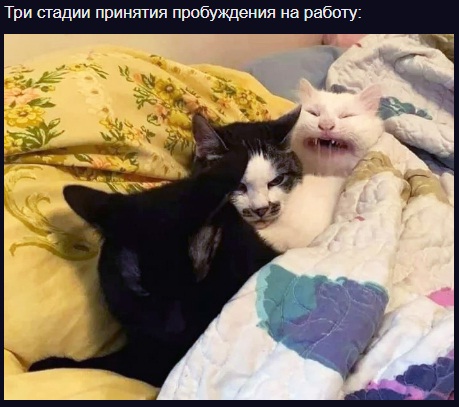 Всяческие картинки 17.01.2022