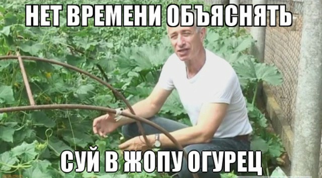 В России цены на яйца вырастут ещё до 40%