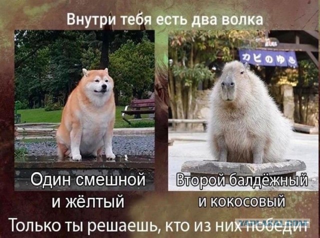 Так себе картинки 11.06.22