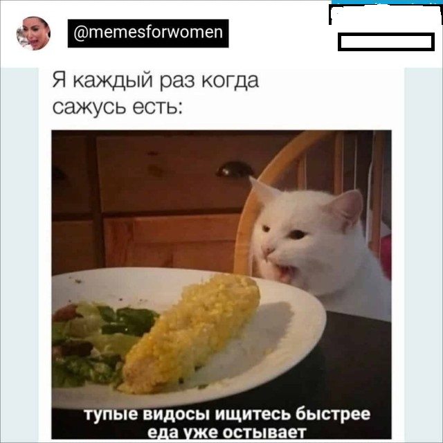 Картинки и мемы, всем хороших выходных