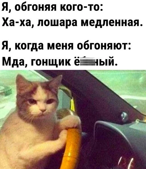 Алкопост 8.10.22