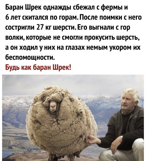 Картинки и мемы. Выходные близко...