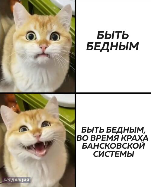 Картинки и мемы, всем хороших выходных