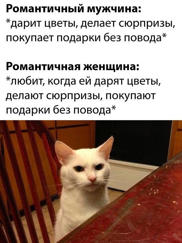 Весёлый полтишок 08.07.23