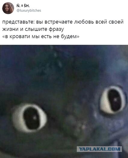 Так себе картинки 28.07.23
