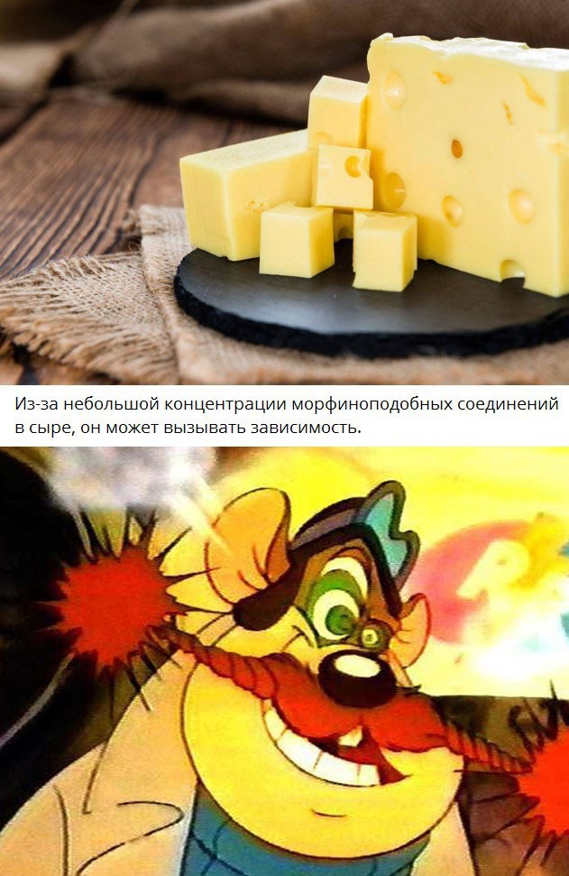 Принципы нарезки сыра к вину